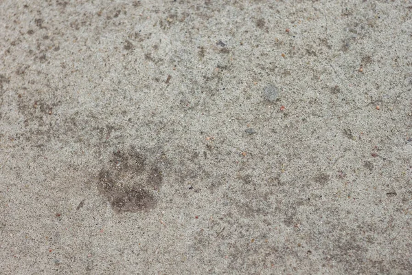 コンクリートだ テクスチャ 猫の足跡 トップ表示 — ストック写真