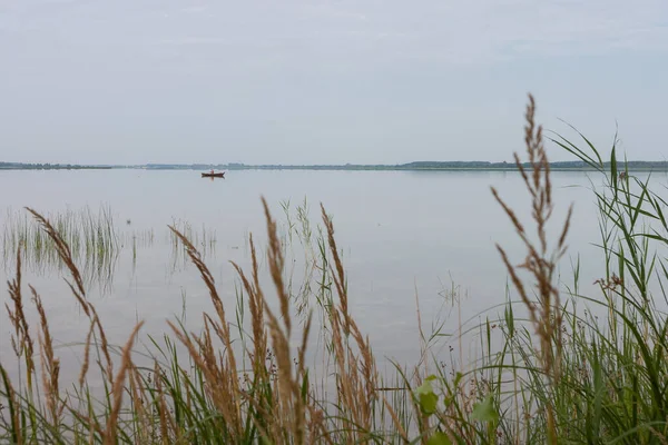 灰色的早晨 在一个风景如画的湖上 清澈平静的海水和浅水的芦苇 图库图片
