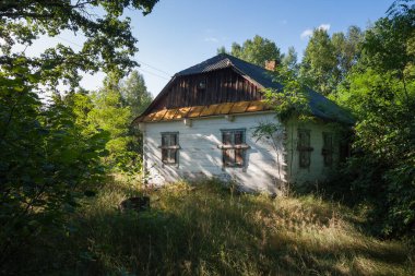 Abandoned old wooden house among the green trees and tall grass. Rural landscape. clipart