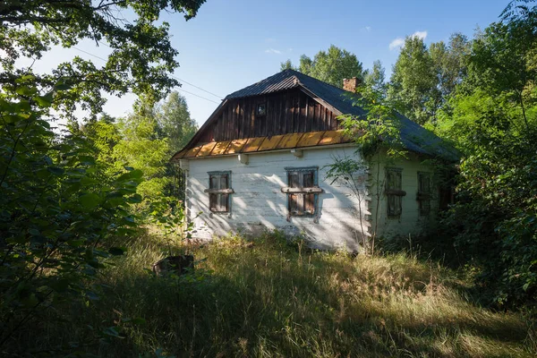 Abandoned Old Wooden House Green Trees Tall Grass Rural Landscape — Stock Photo, Image