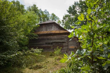 Yeşil ağaçlar ve uzun otların arasında terk edilmiş eski ahşap bir ev. Kırsal alan.