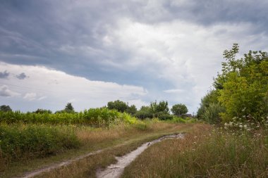 Arazide su birikintisi olan yol. Köye giden toprak yol.