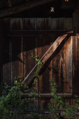 eski ahşap ahır kapısı