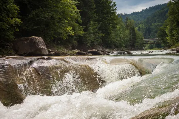 Şelaleli bir dağ nehri. Suyun hızlı akışı ormanlık kıyılar arasında akar.