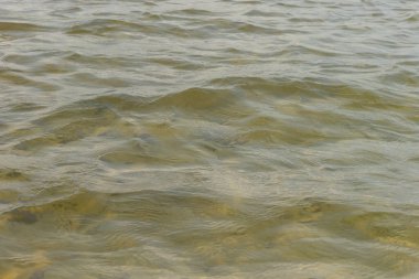 Dalgalar ve parıltılar suyun yüzeyinde. Sığ. Göl. Arkaplan