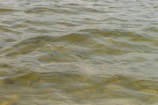 Waves and glare on the surface of the water. Shallow. Lake. Background