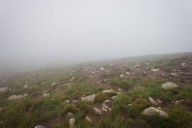 Dağda sis var. Dağ manzarası. Karpatlar