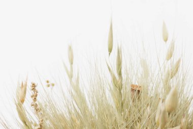 Didukh. Parça yakın çekim. Ukrayna Noel süsü ve geleneksel sembol. Farklı mısır gevreklerinden yapılmış.
