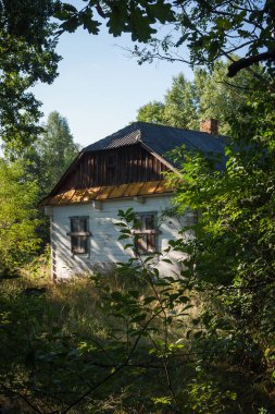 Yeşil ağaçlar ve uzun otların arasında terk edilmiş eski ahşap bir ev. Kırsal alan. Ukrayna mimarisi