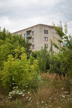 Çalıların ve ağaçların arasında beş katlı bir ev.