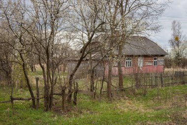 Ağaçların arasında terk edilmiş eski ahşap bir ev. Kırsal ilkbahar manzarası. Ukrayna halk mimarisi