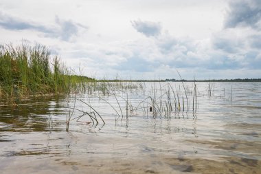 Rüzgarlı ve bulutlu havada göl.