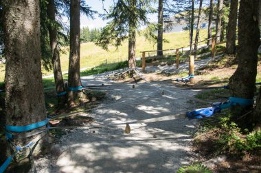 A path in the forest with a rope obstacle course for children on the Grafenberg hill, Wagrain, Austria.