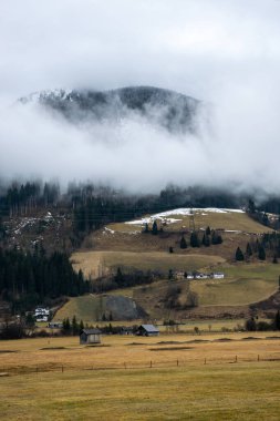 Avusturya Alplerinde bulutlarda dağları olan yeşil çimenli çayır. Çayır ve kışın sonunda Shen 'in kalıntıları..