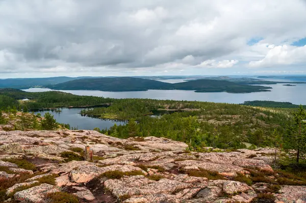 İsveç 'teki Skuleskogen Ulusal Parkı' nda bir sürü göl ve orman tepesi var.