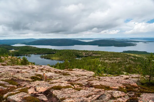 stock image Lots of lakes and forested hills in Skuleskogen National Park in Sweden