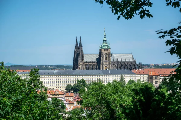 Prague Castle Saint Cathedral Welcomes You Center City Trees Foreground — Stock Photo, Image