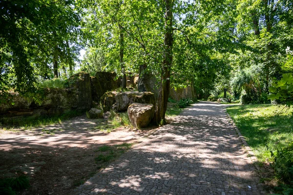 Camino Entre Los Árboles Petrin Park Centro Praga República Checa —  Fotos de Stock