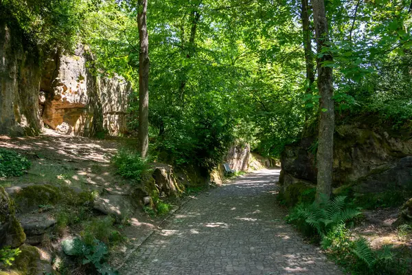 stock image A path among the trees in Petrin Park in the center of Prague in the Czech Republic.