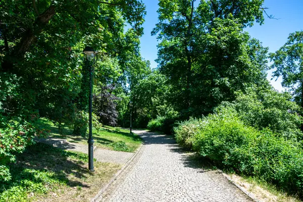 stock image Paved sidewalk with an old lamp in a park among trees in the center of Prague, Czech Republic