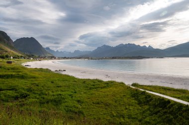 Kumsalda patika, sahilde dağlar - Ramberg plajı, Lofoten, Norveç
