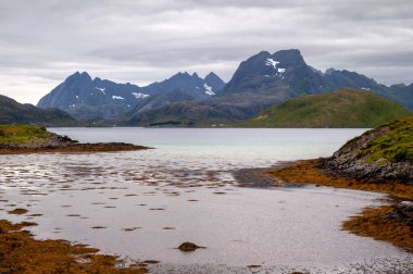 Dağlık sahil, deniz ve kumlu sahil - Lofoten, Norveç