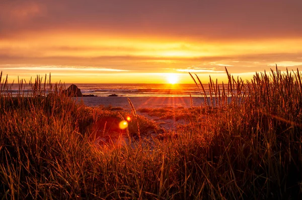 Sunset Sea Sandy Beach Meadow Skagen Lofoten Norway — Stock Photo, Image