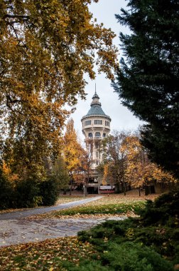 Budapeşte, Macaristan - Margaret Adası 'ndaki parktaki eski su kulesi. Şehirdeki parkta renkli yapraklarla sonbahar..