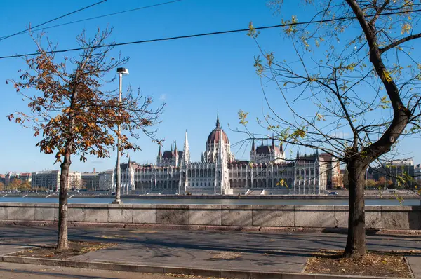秋のブダペスト ハンガリー の国会 木が付いているダヌーブのエンバンクメント — ストック写真