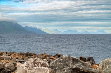 Norveç 'in Lofoten Adaları' ndaki Rocky deniz kıyısında. Arka plandaki yüksek dağlar sisli.