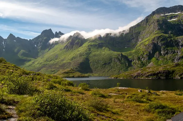 Góry Skaliste Pokryte Zieloną Trawą Jeziorem Wyspach Lofoten Norwegii — Zdjęcie stockowe