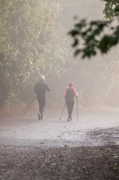 Two hikers with walking sticks are walking through the forest in autumn in thick fog.