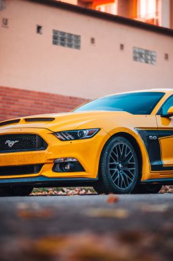 Sarı renkli araba Ford Mustang sonbaharda akşam vakti sokağa park edilir..