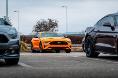 Brno, Çek Cumhuriyeti - 31 Aralık 2023: Sarı bir Ford Mustang spor arabası, diğer hızlı arabaların arasında bir otoparkta park edilmiş..