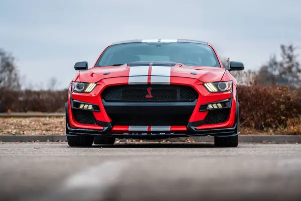 Brno, Çek Cumhuriyeti - 31 Aralık 2023: Kırmızı hızlı spor Ford Mustang Shelby park alanında beyaz folyo şeritli. Ön Görünüm.
