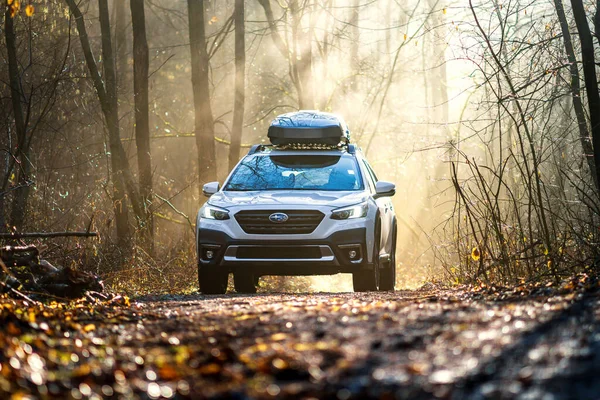 Brno, Çek Cumhuriyeti - 15 Şubat 2024: Ormanda gün doğumunda Beyaz Subaru Outback SUV. Araba ve yol, ağaçların arasından geçen güneş ışınlarıyla aydınlandı..