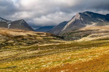 Rondane Ulusal Parkı - Avrupa 'nın kuzeyinde İskandinavya' da Norveç 'te çayırı ve yüksek dağları olan bir tepe manzarası