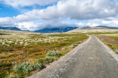 Rondane National Park - a dirt road in the mountains between meadows and hills in Norway in the north of Europe clipart