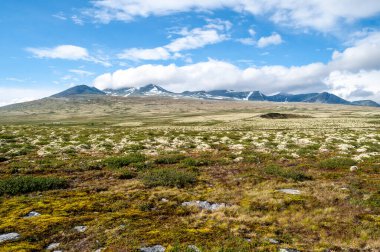 Rondane Ulusal Parkı - Avrupa 'nın kuzeyinde İskandinavya' da Norveç 'te çayırı ve yüksek dağları olan bir tepe manzarası