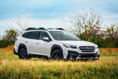 Brno, Çek Cumhuriyeti - 10 Kasım 2023: Çayırdaki bir çayırda büyük bir Subaru Outback aile arabası duruyor. SUV sahada..