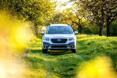 Brno, Çek Cumhuriyeti - 20 Mayıs 2023: Beyaz bir SUV Subaru Outback ailesi, meyve ağaçlarının bahçesinde yeşil çimlerle çevrili bir bahar çayırında park halinde..