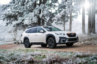 Brno, Çek Cumhuriyeti - 5 Ocak 2024: Kış mevsiminde donmuş ağaçlarla kaplı bir ormanda aile SUV Subaru Outback. Beyaz off-road arabası dışarıda, ağaçların arasında donuyor..