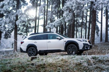Brno, Çek Cumhuriyeti - 5 Ocak 2024: Kış mevsiminde donmuş ağaçlarla kaplı bir ormanda aile SUV Subaru Outback. Beyaz off-road arabası dışarıda, ağaçların arasında donuyor..