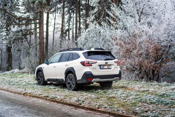 Brno, Çek Cumhuriyeti - 5 Ocak 2024: Kış mevsiminde donmuş ağaçlarla kaplı bir ormanda aile SUV Subaru Outback. Beyaz off-road arabası dışarıda, ağaçların arasında donuyor..
