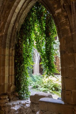 Taş pencere ve avlu. Manastırda çalılarla kaplı sütunlar ve duvarlar var. Çek Cumhuriyeti 'ndeki Rosa Coeli Katedralinin İçi.