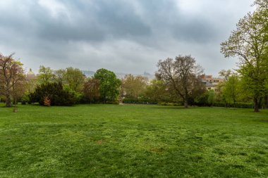 Prag 'ın merkezindeki Rigrovy sady parkında çayır ve ağaçlar. Şehir parkında bulutlu yağmurlu hava.