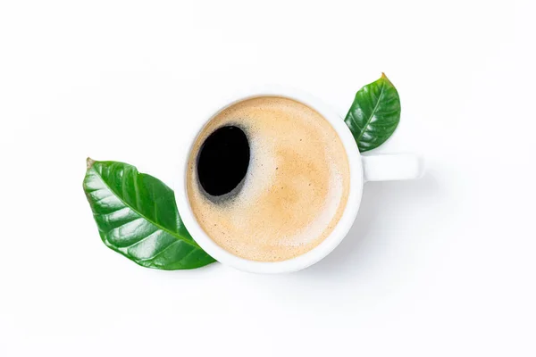Cup of coffee with foam, delicious aroma coffee. Coffee cup and coffee leaves on white background. Top view, copy space