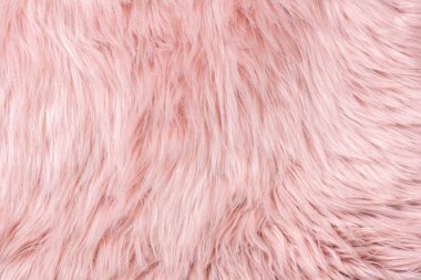 Pink fur texture top view. Pink sheepskin background. Fur pattern. Texture of pink shaggy fur. Wool texture. Sheep fur close up