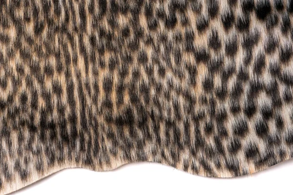 Leopard fur texture top view. Wild animal leopard background or texture. Wild fur pattern. Texture of leopard shaggy fur. Wool texture