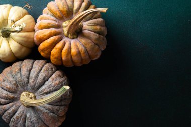 Şükran Günü tebrik kartı. Koyu arkaplanda balkabakları olan sonbahar kompozisyonu. Mutlu Şükran Günleri, Cadılar Bayramı konsepti. Üst görünüm
